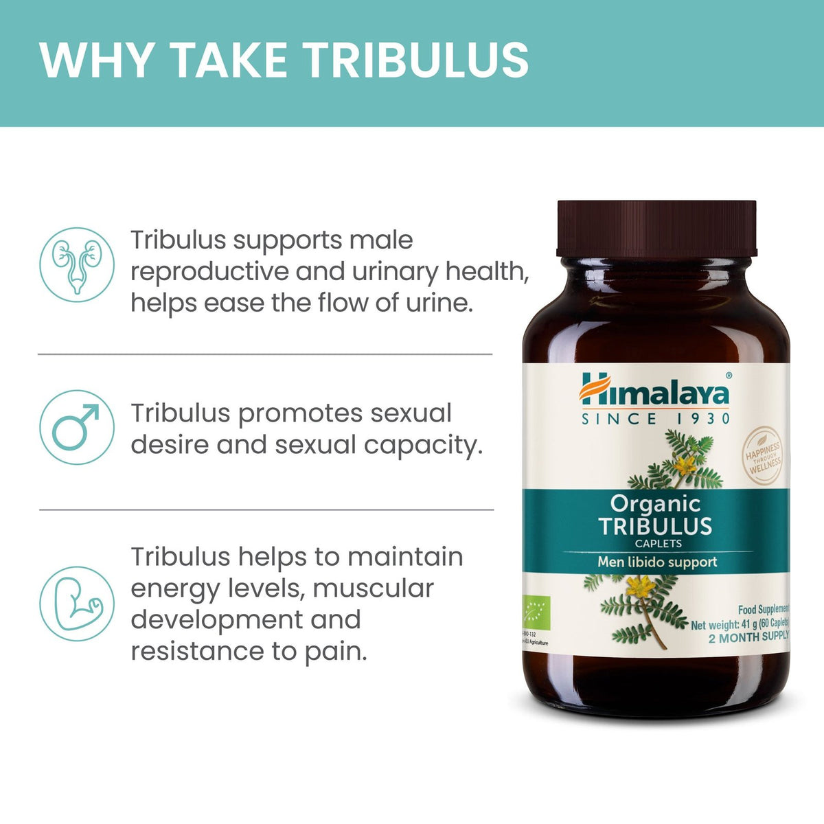 NEW-Amazon_TRIBULUS-2024-banners2_1800x1800