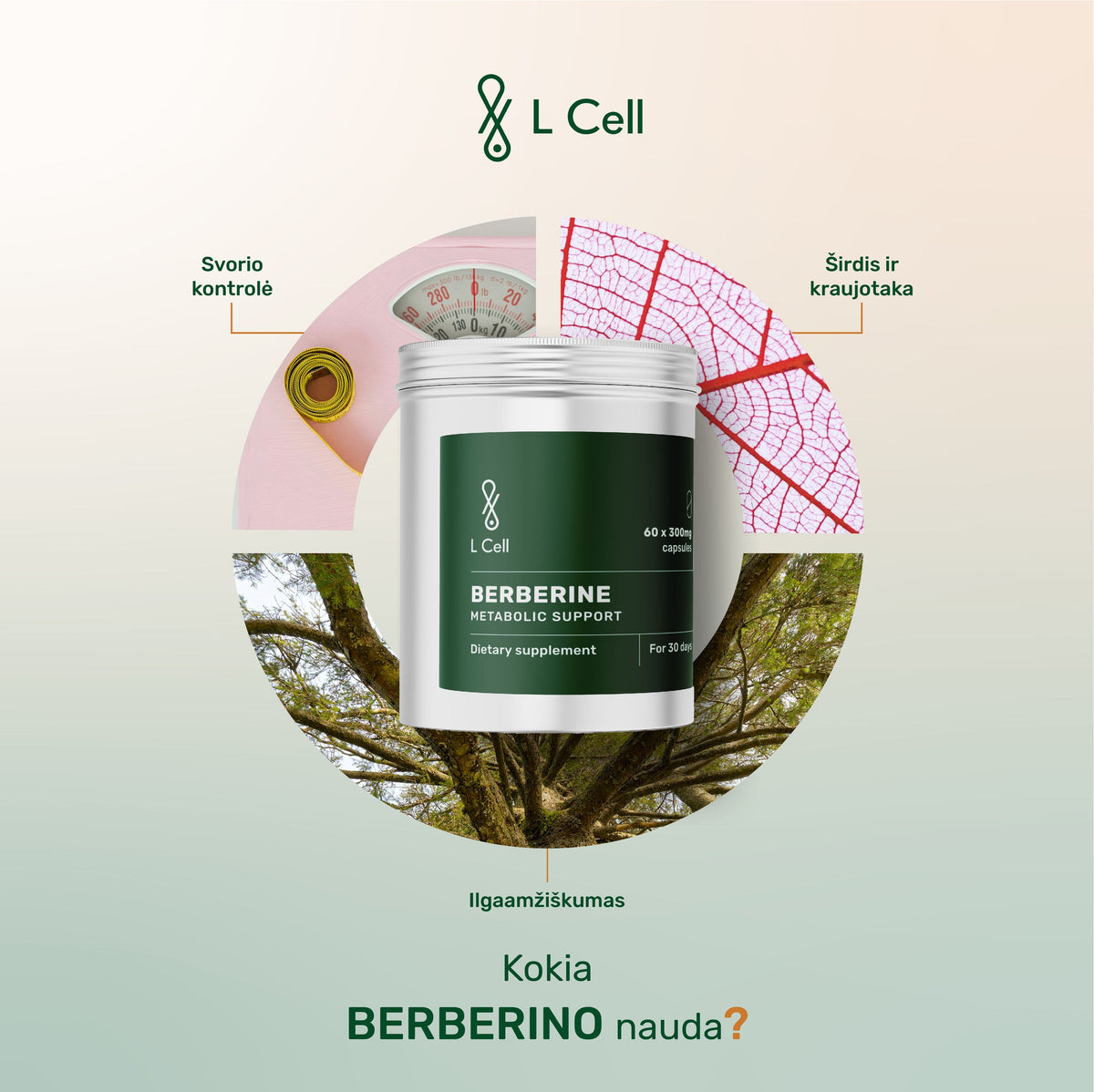 L Cell Berberine, Capsules 300 mg, 60 Capsules