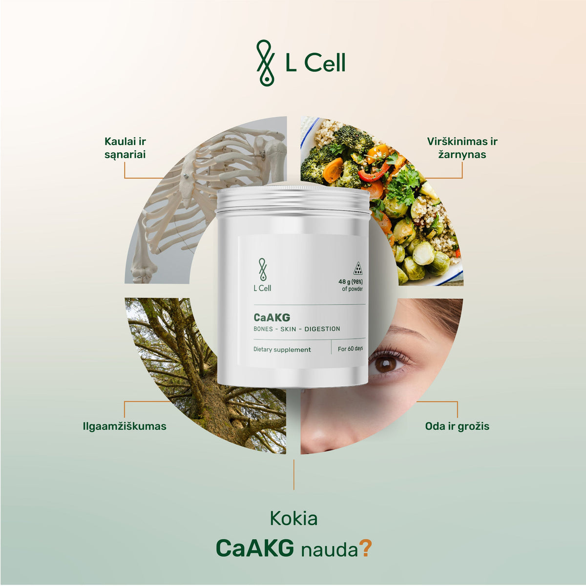 L Cell CaAKG Powder 48g (60 days, >98% purity)