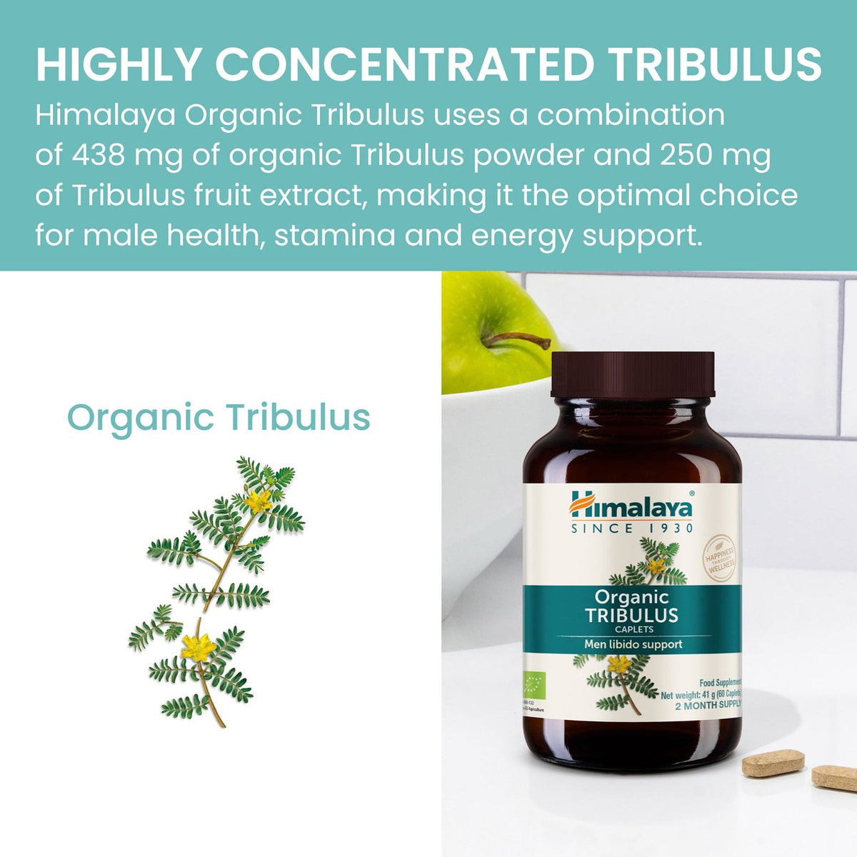 NEW-Amazon_TRIBULUS-2024-banners3_1800x1800