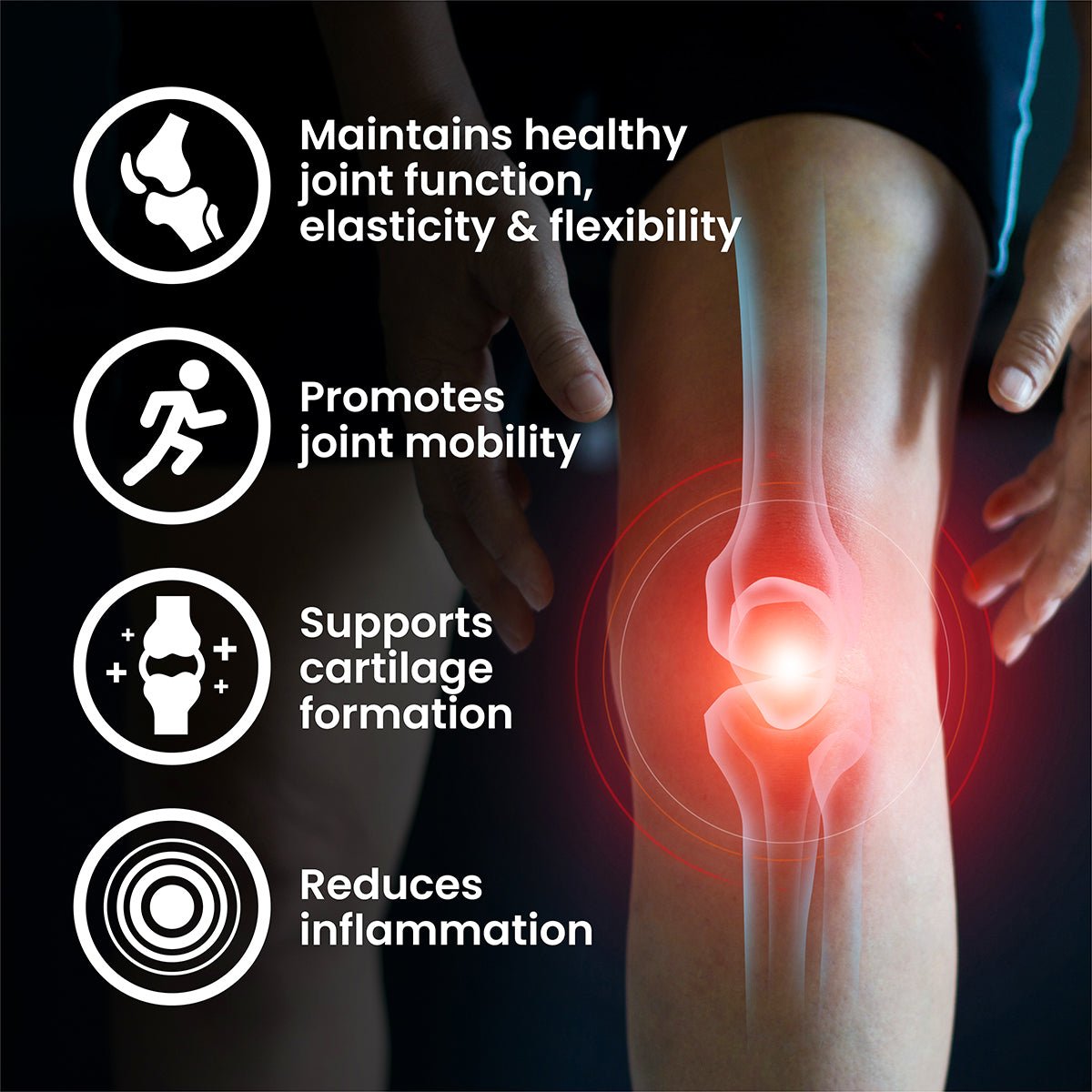 Glucosamine_ChondroitinMSMCore-WebPics-03_1296x
