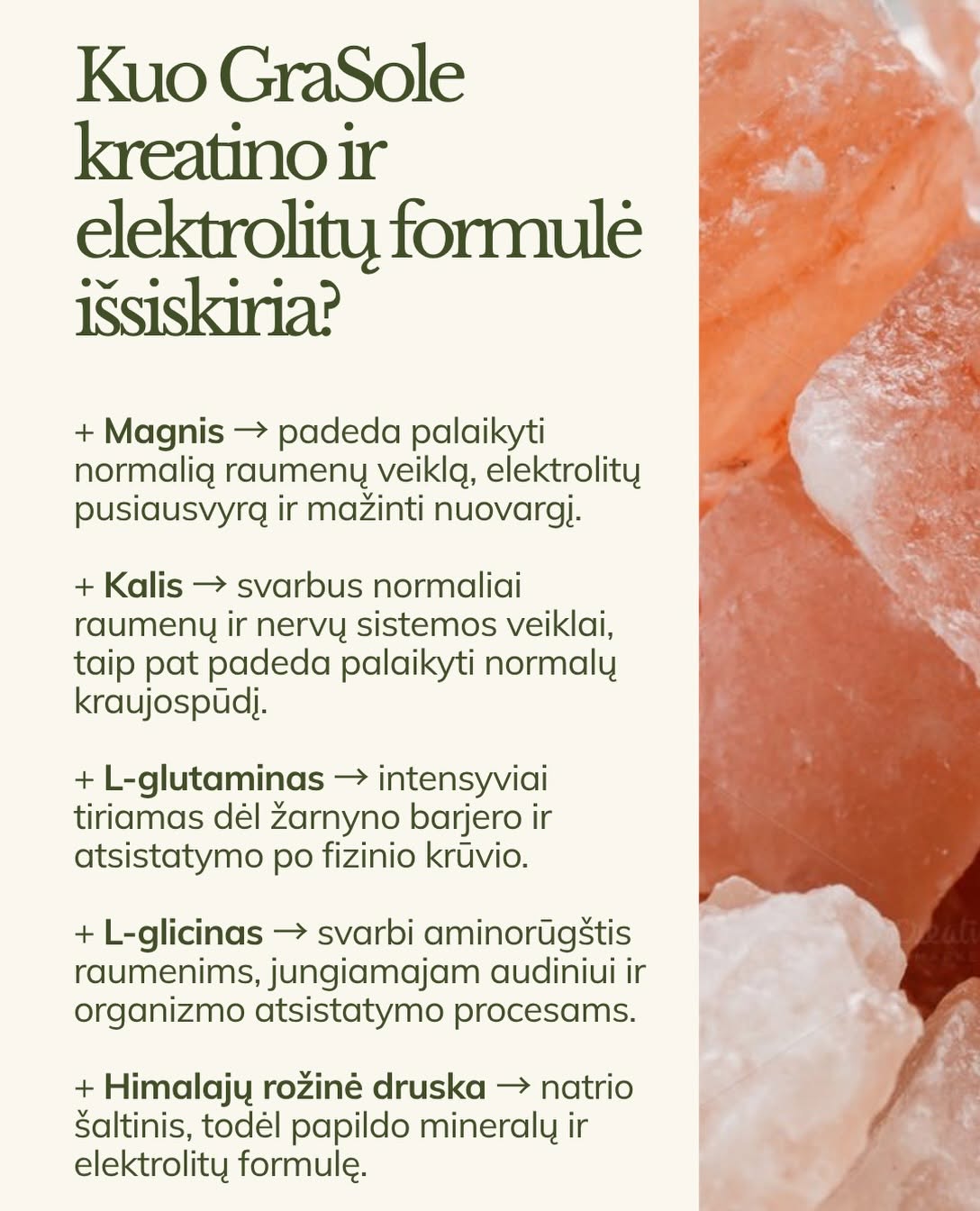 GraSole Hydracreatine + Electrolytes (strawberry flavored)